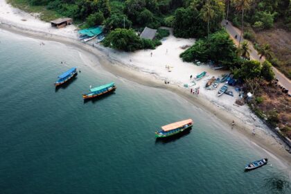 Palm trees at Morjim, North Goa from a bird’s eye view for every traveller to explore.