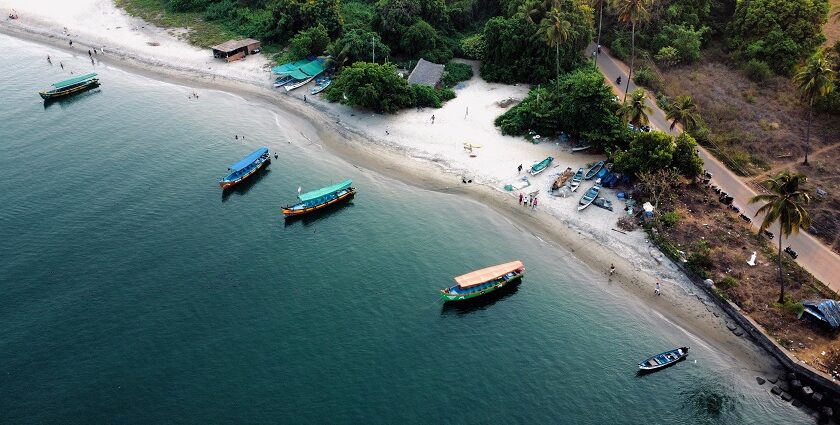 Palm trees at Morjim, North Goa from a bird’s eye view for every traveller to explore.