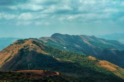 Beautiful scenic view of Mudigere with lush hills and colourful flora during the daytime.