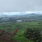 Pune transforms into a lush green paradise, drenched in refreshing rains