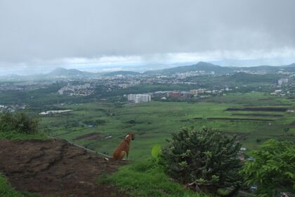 Pune transforms into a lush green paradise, drenched in refreshing rains