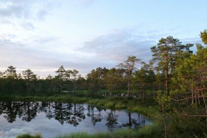 A glimpse of a serene lake with blue shimmering waters surrounded by lush greenery.