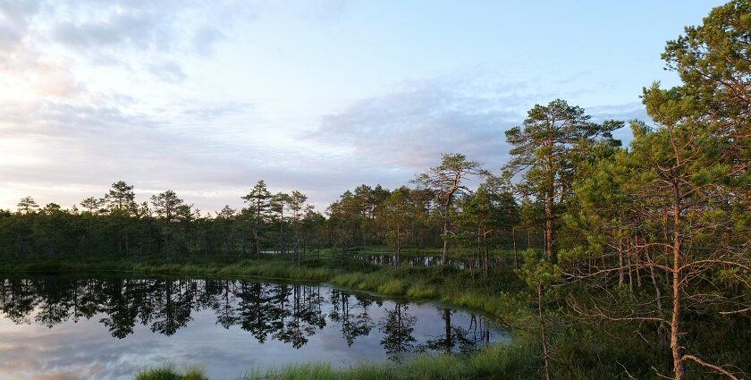 A glimpse of a serene lake with blue shimmering waters surrounded by lush greenery.