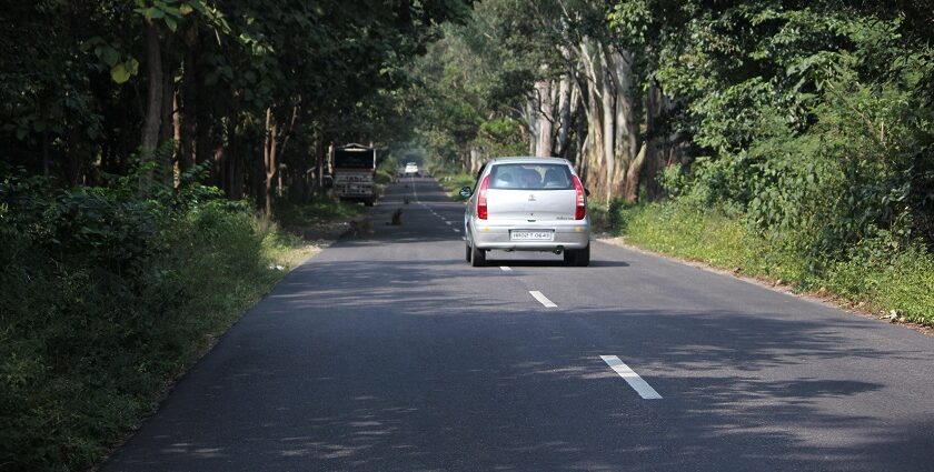 An image of a road connecting Yamunanagar to Paonta Sahib in Himachal Pradesh.