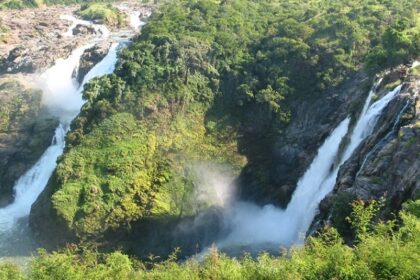 View of Shivanasamudra falls surrounded by lush greenery, one of the most beautiful places to visit near Bangalore in monsoon