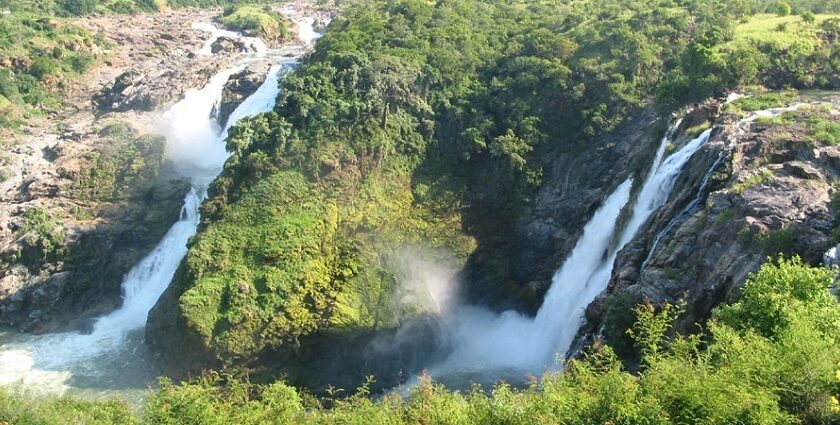 View of Shivanasamudra falls surrounded by lush greenery, one of the most beautiful places to visit near Bangalore in monsoon