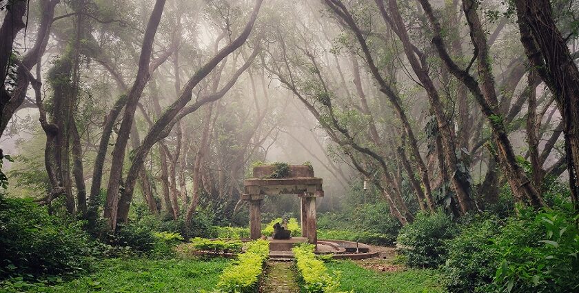 Idol Of Nandi at Nandi Hills, a place to visit near Bangalore within 100 kms.