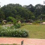 Flora of Bannerghatta National Park spectacular and scenic.