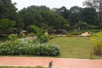 Flora of Bannerghatta National Park spectacular and scenic.