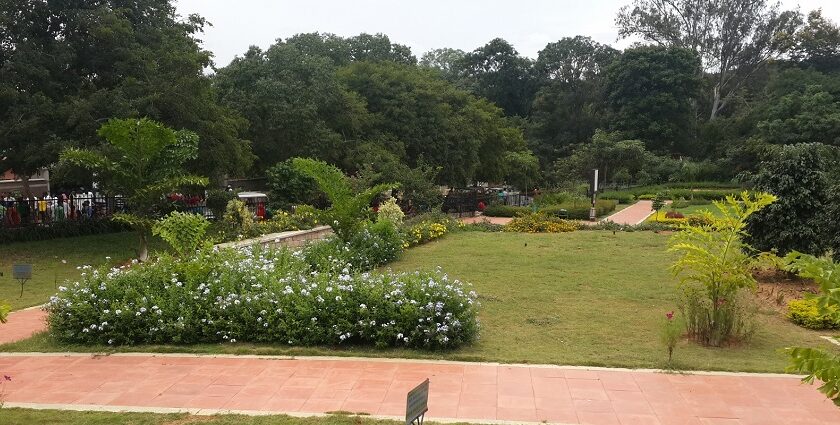 Flora of Bannerghatta National Park spectacular and scenic.