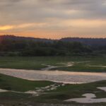 Picturesque view of Damdama lake, one of the best places to visit near Gurgaon within 50kms