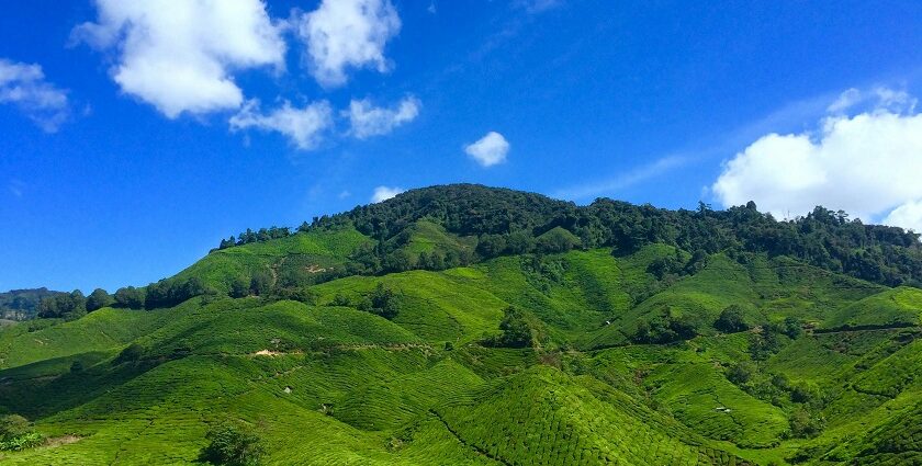 Scenic view of the best places to visit in Pachmarhi, showcasing lush hills and beautiful landscapes.