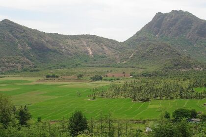 A picture of the scenic landscapes in Palani, showcasing the best places to visit near Palani