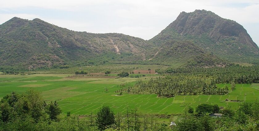 A picture of the scenic landscapes in Palani, showcasing the best places to visit near Palani