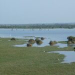 Scenic view of the Hoskote lake, one of the most beautiful places to visit near Ramanagara