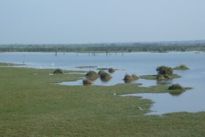 Scenic view of the Hoskote lake, one of the most beautiful places to visit near Ramanagara