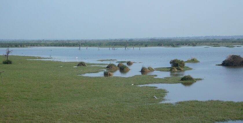 Scenic view of the Hoskote lake, one of the most beautiful places to visit near Ramanagara