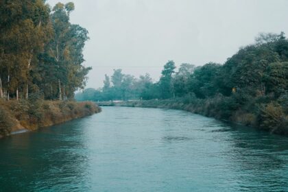 A breathtaking view of a sparkling water body surrounded by lush greenery during the day.