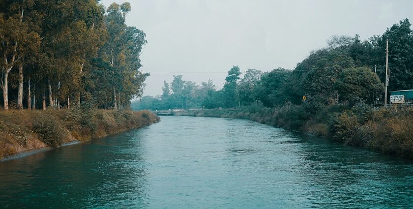 A breathtaking view of a sparkling water body surrounded by lush greenery during the day.