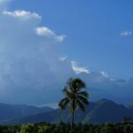 A breathtaking vista of lush green trees, majestic peaks and misty clouds in Tamil Nadu.