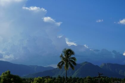 A breathtaking vista of lush green trees, majestic peaks and misty clouds in Tamil Nadu.