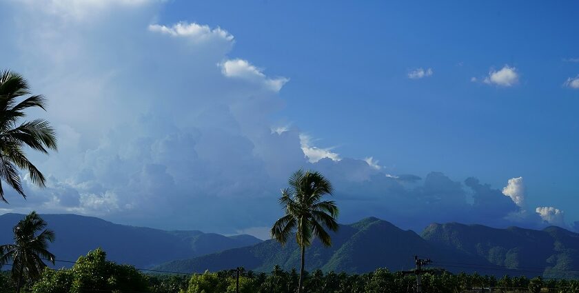 A breathtaking vista of lush green trees, majestic peaks and misty clouds in Tamil Nadu.