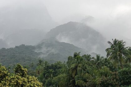 A picture of the Courtallam Waterfalls, one of the best places to visit in Courtallam.