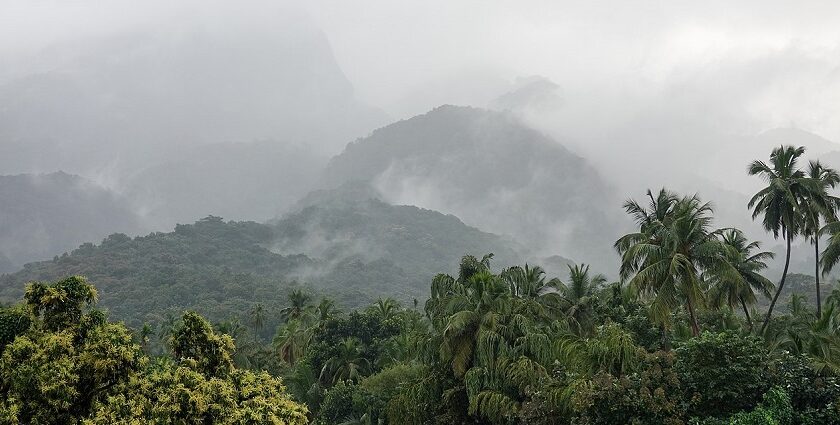 A picture of the Courtallam Waterfalls, one of the best places to visit in Courtallam.