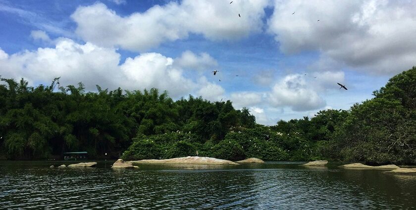 A sparkling river in Mandya under a clear blue sky, showcasing its vibrant atmosphere.