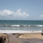 Sun-kissed Tarkarli Beach with clear waters and palm trees under blue sky.