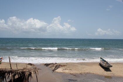 Sun-kissed Tarkarli Beach with clear waters and palm trees under blue sky.