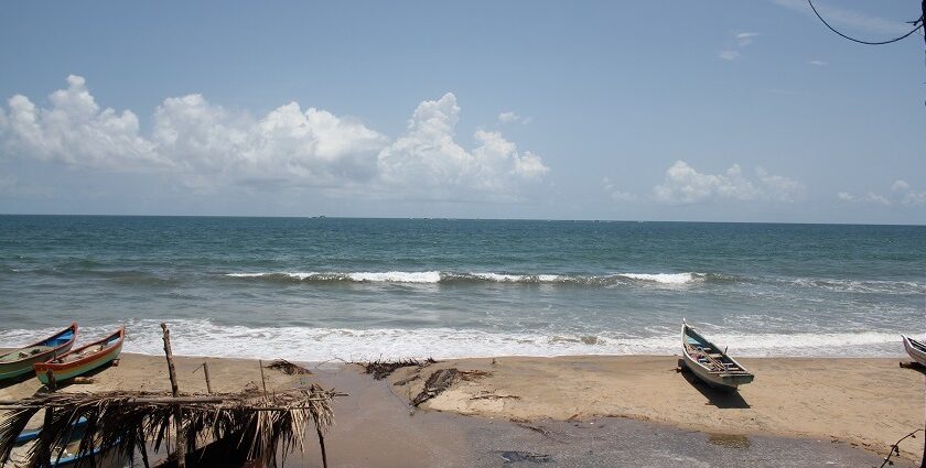 Sun-kissed Tarkarli Beach with clear waters and palm trees under blue sky.