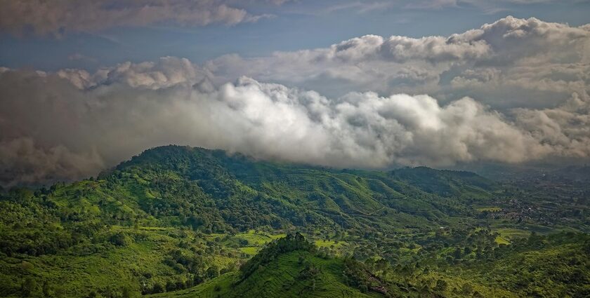 Explore the most crowded town of Raigad district in Maharashtra for a unique experience.