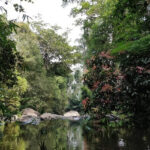 An image of Permadbudi Lake near Virajpet for every traveller to visit and explore.