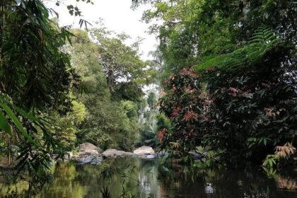 An image of Permadbudi Lake near Virajpet for every traveller to visit and explore.