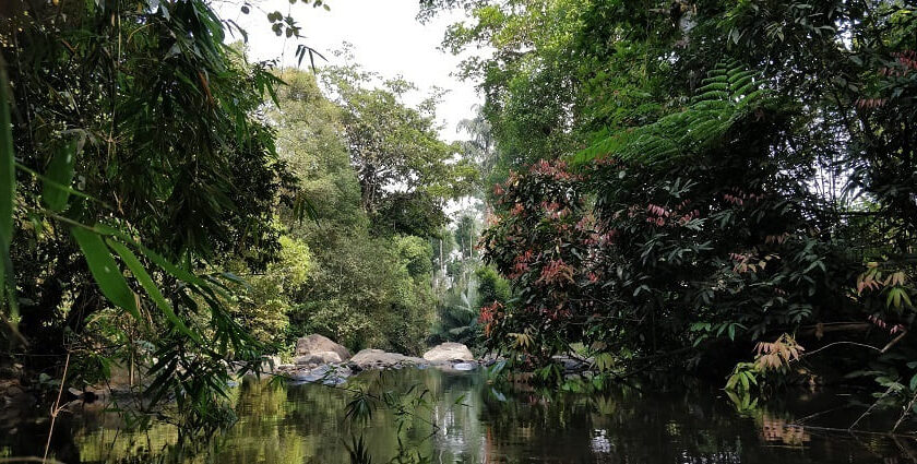 An image of Permadbudi Lake near Virajpet for every traveller to visit and explore.