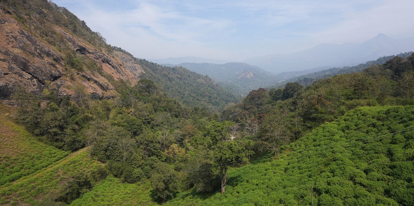 Image of the rolling hills of Ponmud, which is one of the best hill stations near Nagercoil