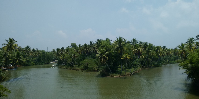 This is a picture of Poovar Island, a very interesting place to visit near Rameshwaram.