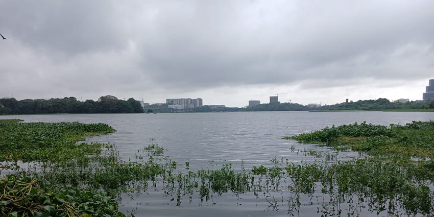 Image of serne Powai lake seen from IIT Bombay after heavy rain - places to visit in mumbai with friends