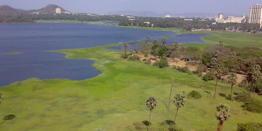 A picture of Powai Lake, a tranquil bird watching spot near Mumbai Airport