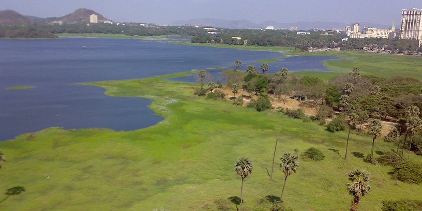 Powai Lake, is a tranquil retreat during evenings and nights in the city