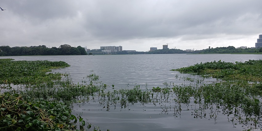 A serene image of the view of Powai lake seen from IIT Bombay after a heavy rainfall