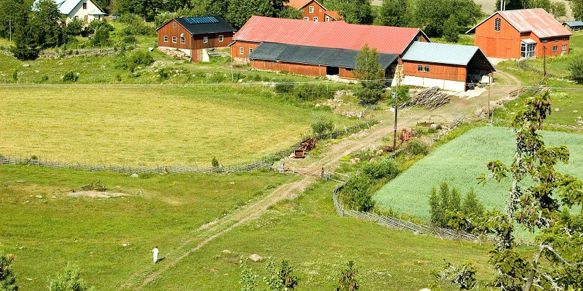 See the scenic Pratapgarh Farms - one of the places to visit near Gurgaon within 300 kms.