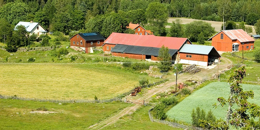 The scenic Pratapgarh farms with their cultural and village-like ambiance near Gurgaon.