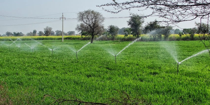 Pratapgarh Farms is one of the top places to visit near Gurgaon for a fun-filled outing.