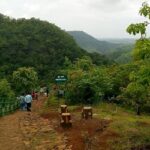 A picture showing the path of trekking that is filled with green trees and grass.