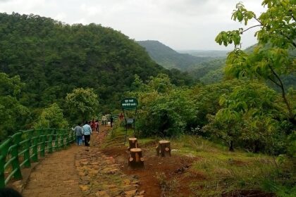 A picture showing the path of trekking that is filled with green trees and grass.