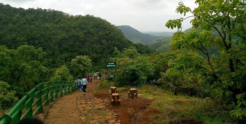 A picture showing the path of trekking that is filled with green trees and grass.