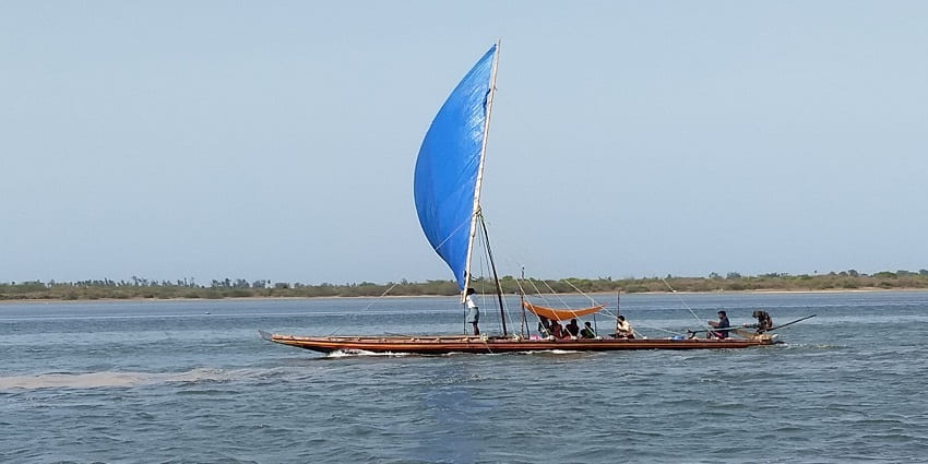 An image of serene Pulicat Lake which is known for birdwatching and natural beauty.