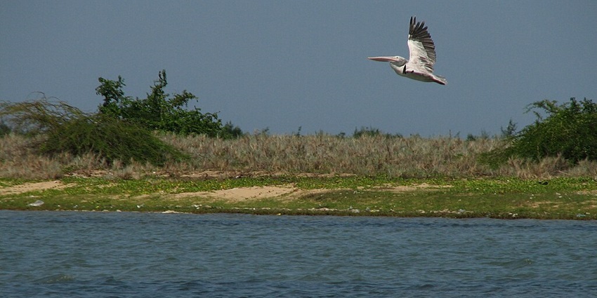 The road trips from Chennai feature scenic lake and bird sanctuary ideal for nature enthusiasts.
